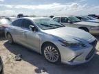 2020 Lexus ES 300H Ultra Luxury