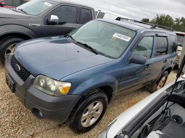 2006 Ford Escape XLT