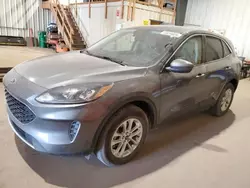 Ford salvage cars for sale: 2021 Ford Escape SE