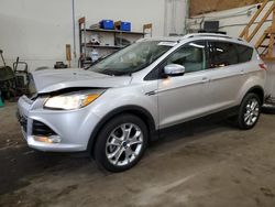 Salvage cars for sale at Ham Lake, MN auction: 2014 Ford Escape Titanium