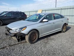 Hyundai salvage cars for sale: 2019 Hyundai Sonata SE