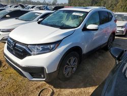 Salvage cars for sale at Midway, FL auction: 2020 Honda CR-V EX