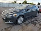 2015 Ford Fusion SE Hybrid