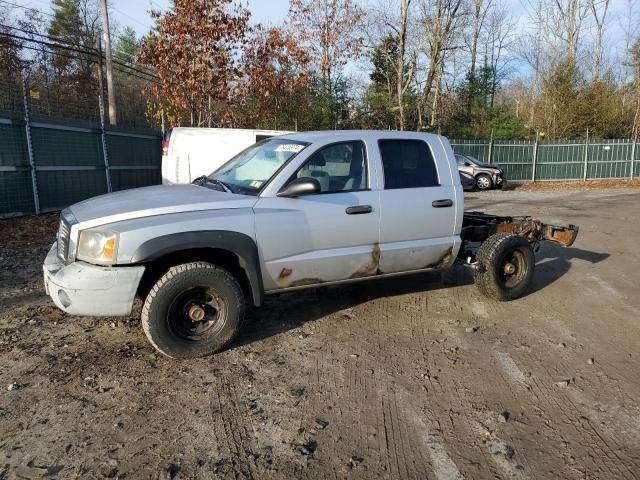 2005 Dodge Dakota Quattro