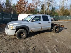 Dodge Vehiculos salvage en venta: 2005 Dodge Dakota Quattro