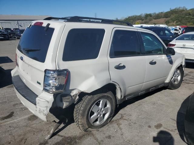 2011 Ford Escape XLS