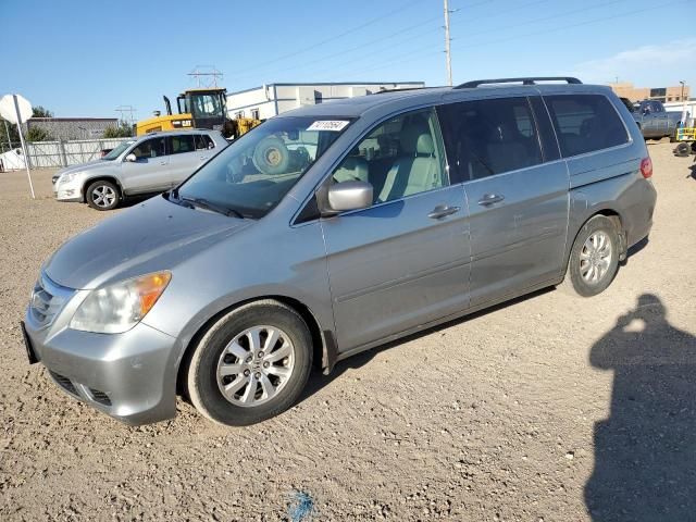 2009 Honda Odyssey EXL