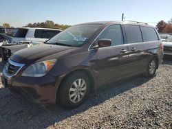 Salvage cars for sale at Hillsborough, NJ auction: 2009 Honda Odyssey EXL