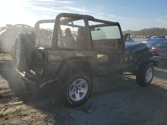 1995 Jeep Wrangler / YJ Sahara