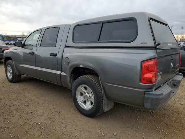 2010 Dodge Dakota SXT