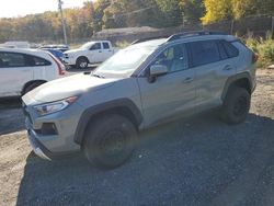 Salvage cars for sale at Baltimore, MD auction: 2020 Toyota Rav4 Adventure