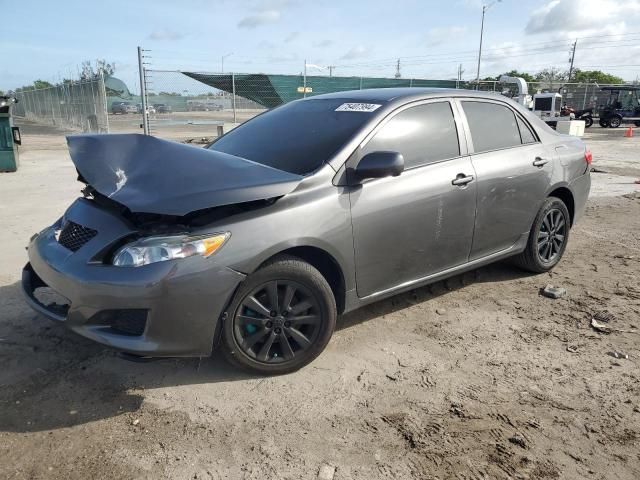 2010 Toyota Corolla Base