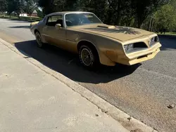 Salvage cars for sale at Madisonville, TN auction: 1978 Pontiac Trans AM