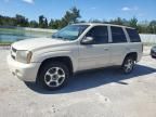 2009 Chevrolet Trailblazer LT