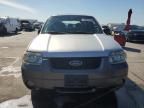 2005 Ford Escape XLT