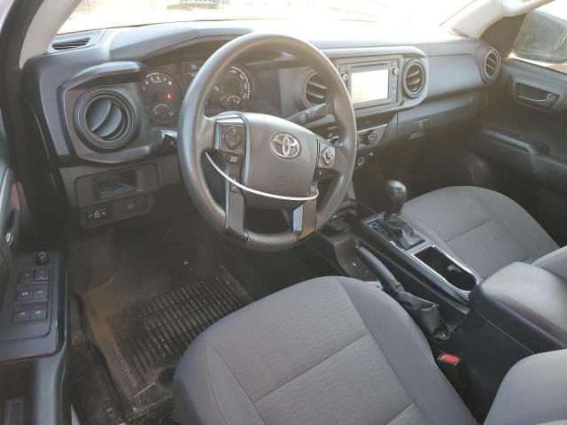 2019 Toyota Tacoma Double Cab