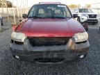 2007 Ford Escape XLT