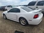 2004 Ford Mustang