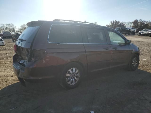 2008 Honda Odyssey EXL