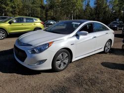 Salvage cars for sale at auction: 2015 Hyundai Sonata Hybrid