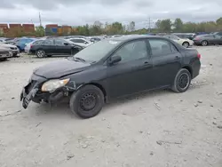 Toyota salvage cars for sale: 2010 Toyota Corolla Base