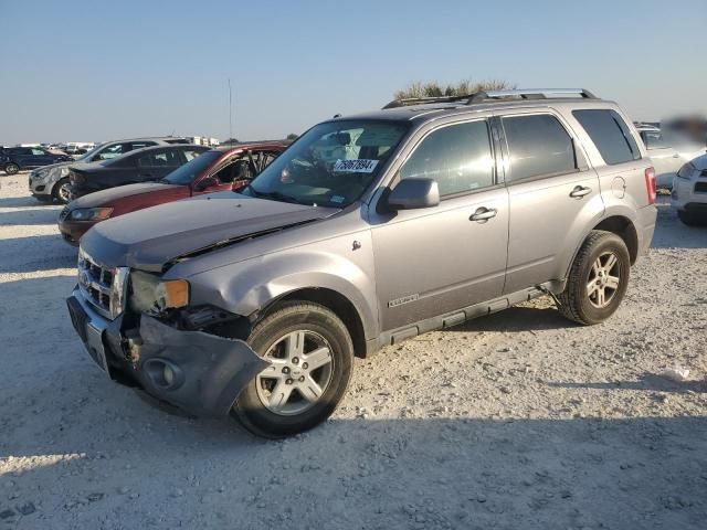 2008 Ford Escape HEV