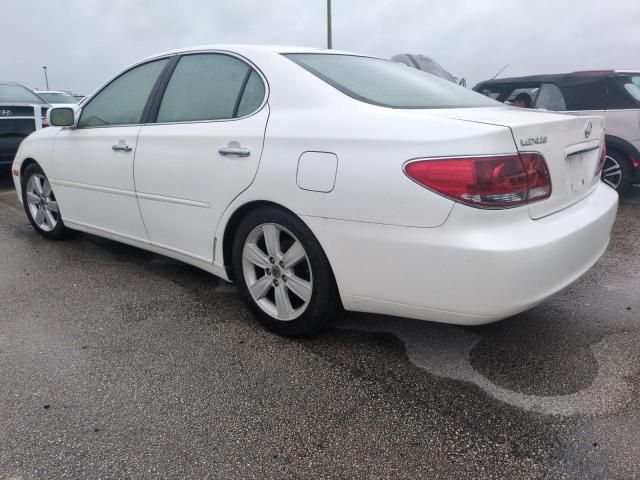 2005 Lexus ES 330