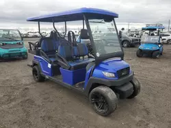 Salvage trucks for sale at Arcadia, FL auction: 2022 Citc Beyond