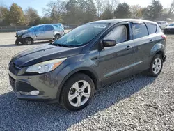 Salvage cars for sale at Madisonville, TN auction: 2015 Ford Escape SE