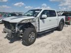 2017 Ford F150 Raptor