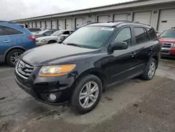 Hyundai salvage cars for sale: 2011 Hyundai Santa FE SE