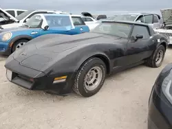 Salvage cars for sale at Riverview, FL auction: 1981 Chevrolet Corvette