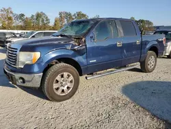 Salvage cars for sale at Spartanburg, SC auction: 2012 Ford F150 Supercrew