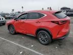 2024 Lexus NX 250 Base