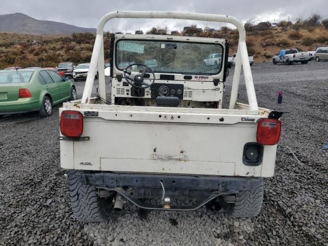 1981 Jeep Jeep CJ5