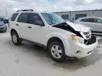 2009 Ford Escape XLS