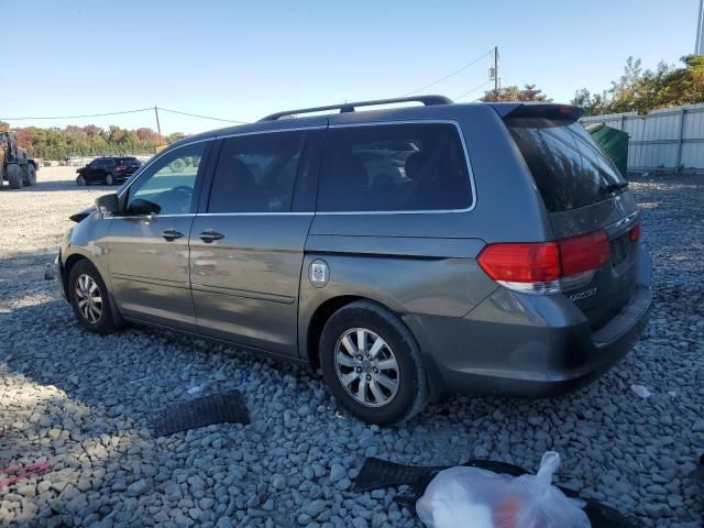 2008 Honda Odyssey EX