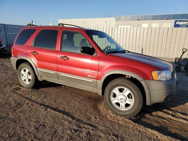 2001 Ford Escape XLT