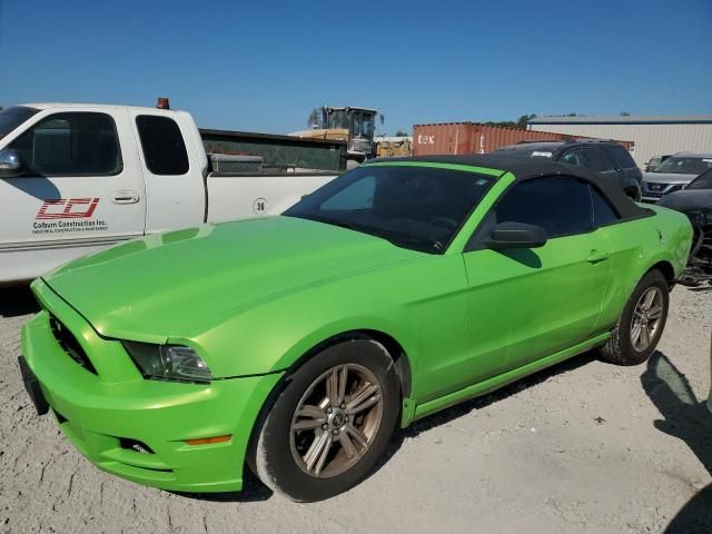 2013 Ford Mustang