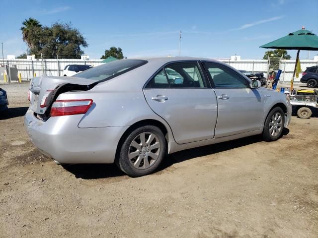 2009 Toyota Camry Hybrid