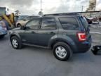 2008 Ford Escape XLT