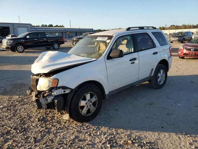 2011 Ford Escape XLT