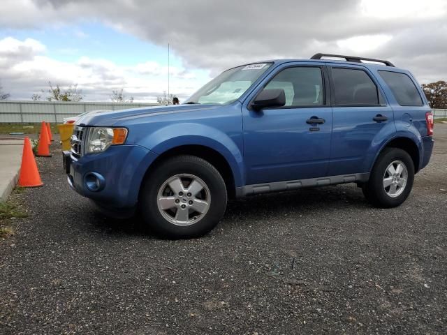 2009 Ford Escape XLT