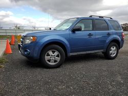 Ford salvage cars for sale: 2009 Ford Escape XLT