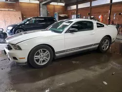 Salvage cars for sale at Ebensburg, PA auction: 2011 Ford Mustang