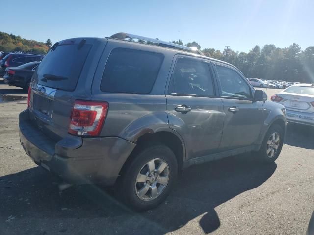 2011 Ford Escape Limited