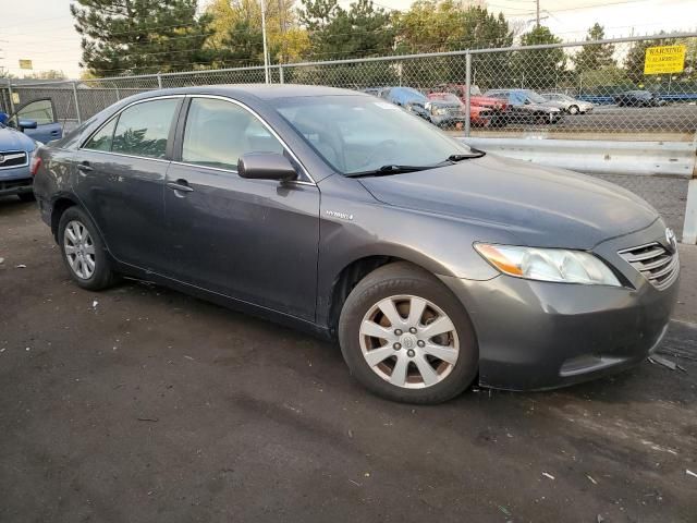 2009 Toyota Camry Hybrid