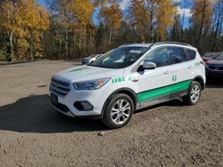 Salvage cars for sale at Cookstown, ON auction: 2018 Ford Escape SEL