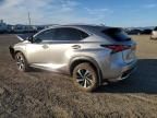 2021 Lexus NX 300H Base