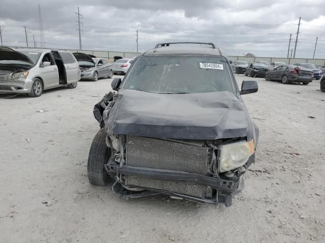 2009 Ford Escape Limited